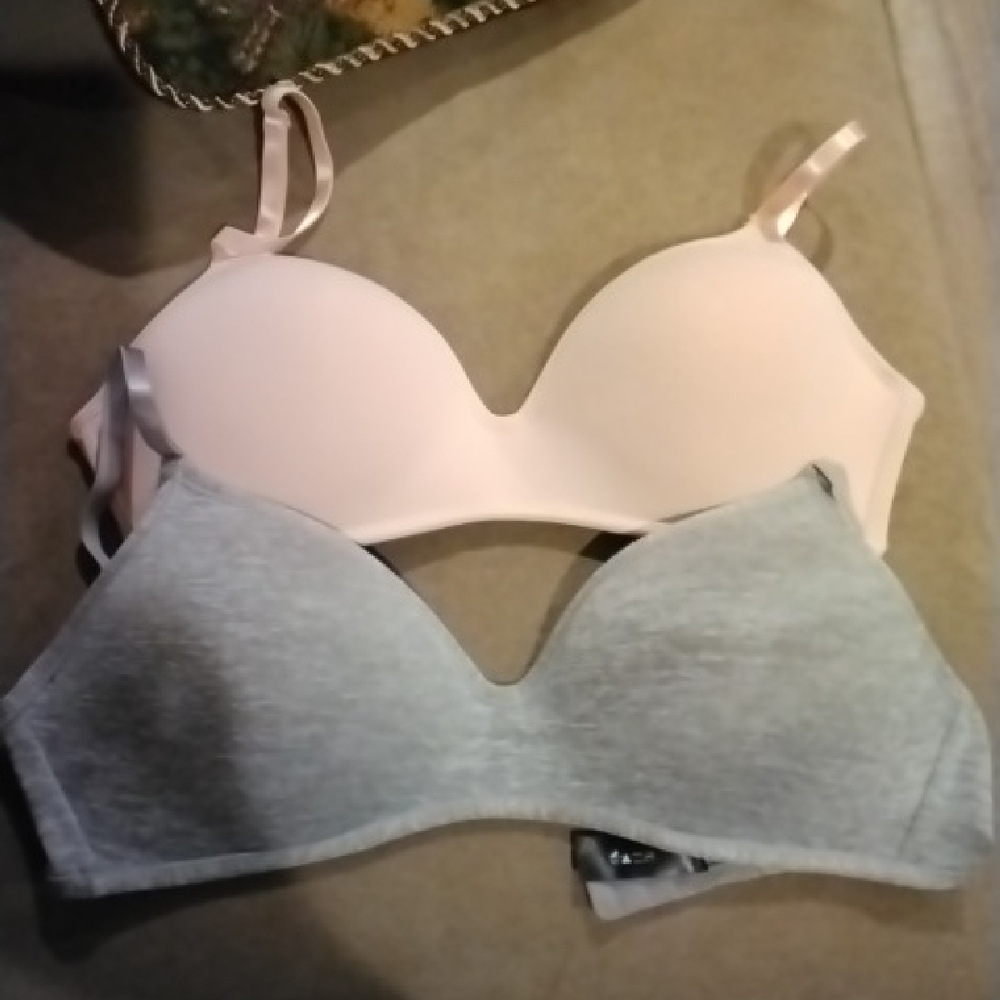 Rene Rofe Pink and Gray Bra Set